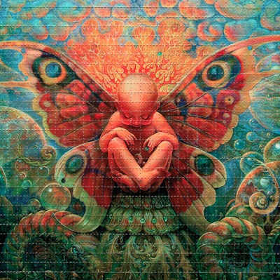 Lsd09.jpg
