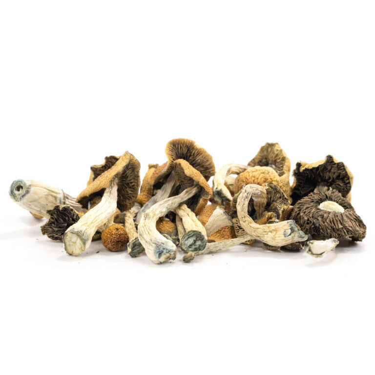 Malabar-Mushrooms.jpg