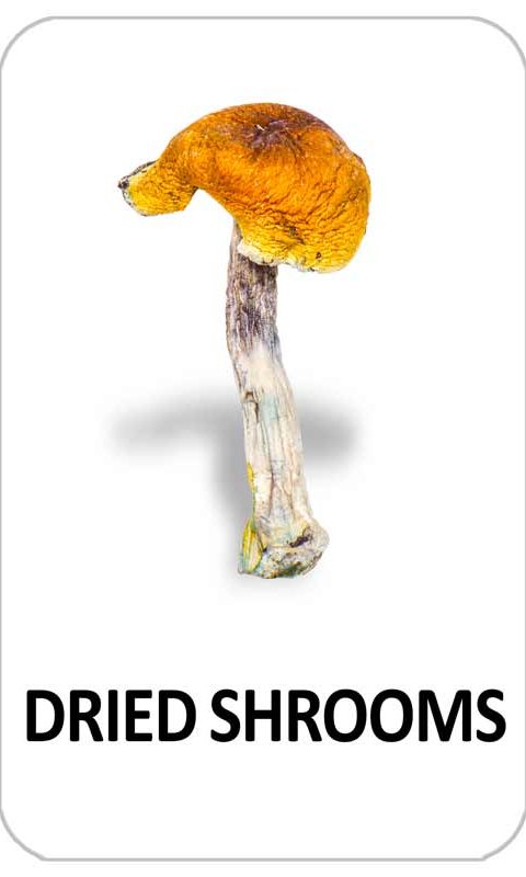 Magic mushrooms