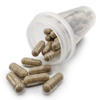 Magic Mushroom Capsules - 50mg